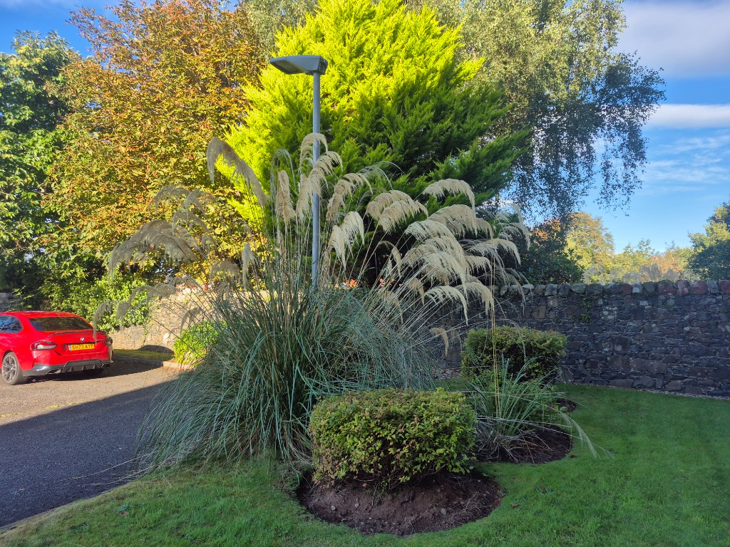 P446: Woodbank Gardens, Largs, North Ayrshire